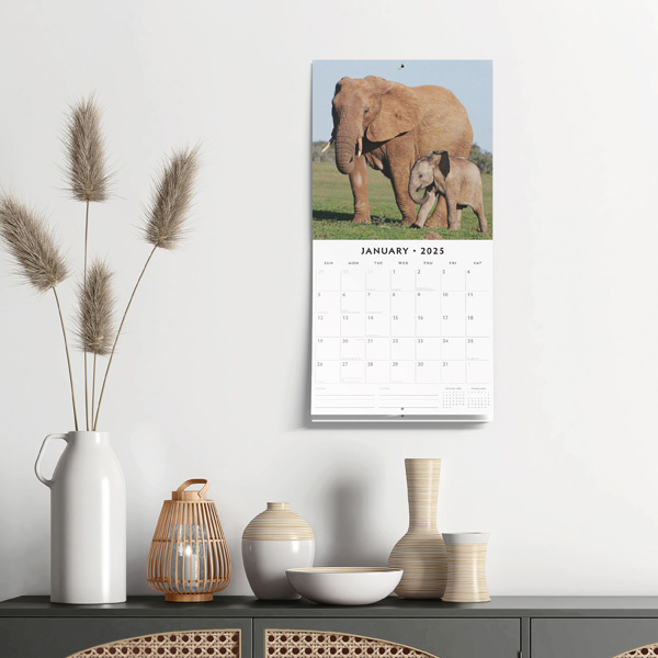 el Calendario Elefante 2025? Rápido y fácil en línea