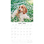 Calendario Cocker Spaniel Inglese 2025