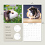 Guinea pig calendar 2025