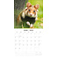 Calendrier Hamster 2025