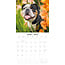 Engelse Bulldog Kalender 2025