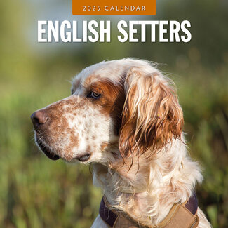 Red Robin English Setter Calendar 2025