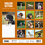 English Setter Kalender 2025