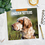 English Setter Kalender 2025