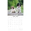 English Springer Spaniel Calendar 2025