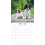 English Springer Spaniel Kalender 2025