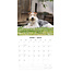 Calendrier Fox Terrier 2025