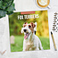 Calendrier Fox Terrier 2025