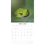 Calendrier grenouille 2025