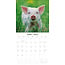 Pig Calendar 2025