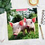 Pig Calendar 2025