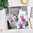 Orchid Calendar 2025