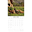 On The Farm Kalender 2025