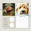 Calendario Labradoodle 2025