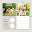 Calendario misto Labrador Retriever 2025