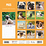 Pug Calendar 2025