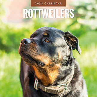 Red Robin Calendrier Rottweiler 2025