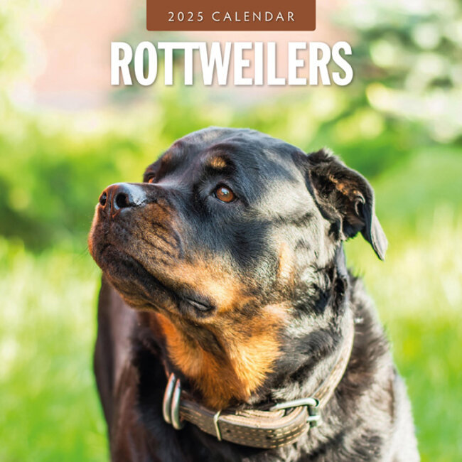 Calendario Rottweiler 2025