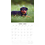 Calendario Rottweiler 2025