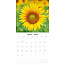 Calendario Girasoles 2025