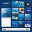 Sharks - Sharks Calendar 2025