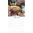 Provence Kalender 2025