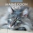 Red Robin Calendario Maine Coon 2025