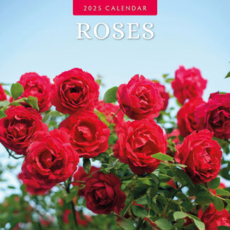 Red Robin Calendrier des roses 2025