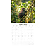 Monkey Calendar 2025