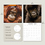 Calendrier des singes 2025