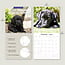 Labrador Retriever Noir Chiots Calendrier 2025