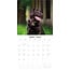 Calendario Labrador Retriever Brown 2025