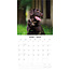 Labrador Retriever Bruin Kalender 2025