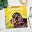 Calendario Gordon Setter 2025