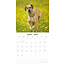 Duitse Dog Kalender 2025