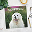 Pyrenean Mountain Dog Calendar 2025