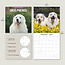 Pyrenean Mountain Dog Calendar 2025