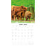 Schottischer Highlander Kalender 2025