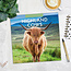 Schottischer Highlander Kalender 2025