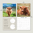 Schottischer Highlander Kalender 2025