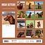 Irish Setter Kalender 2025