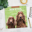 Irish Setter Kalender 2025