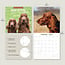 Irish Setter Kalender 2025