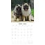 Calendrier Keeshond 2025