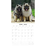 Keeshond Kalender 2025