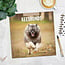 Calendrier Keeshond 2025