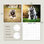 Keeshond Kalender 2025