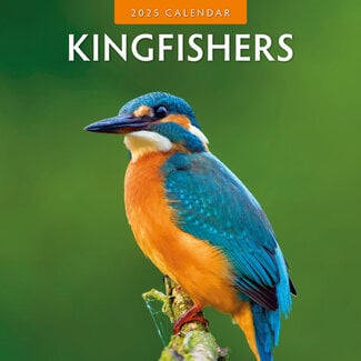 Red Robin Calendario Kingfisher 2025