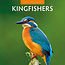 Calendario Kingfisher 2025