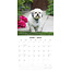 Calendario Lhasa Apso 2025